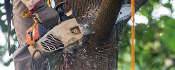 Best Soil Testing and Treatment  in Glenpool, OK